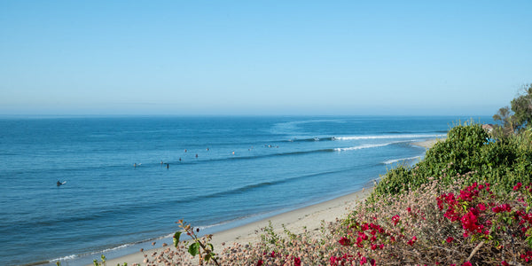 The Surfers Guide to Los Angeles