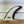 Rainbow Fin Company 6