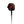 FCS 7ft All Round Essential Surf Leash
