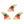 Captian Fin Co. Series (Single Tab) Medium Thuster Fin Set