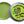 Aloe Gator Colored Zinc Oxide Tin