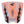 Creatures of Leisure Mick 'Eugene' Fanning Lite Tail Pad