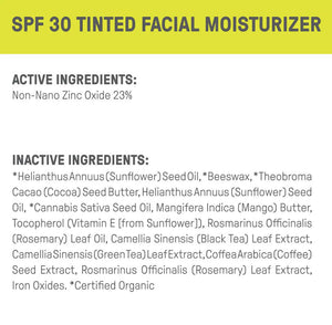Raw Elements Tinted Bronze Face Moisturizer SPF 30 Bronze