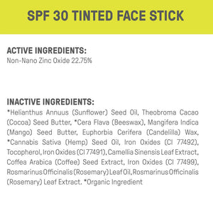 Raw Elements Tinted Bronze Stick SPF 30