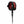 FCS 6ft All Round Essential Surf Leash