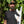 FCS II CI Upright Large Tri/Quad Surfboard Fins